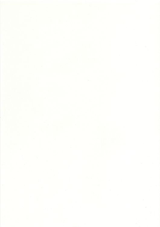 Papier A4 'Schneeweiß' 100gr (10 Stk.)