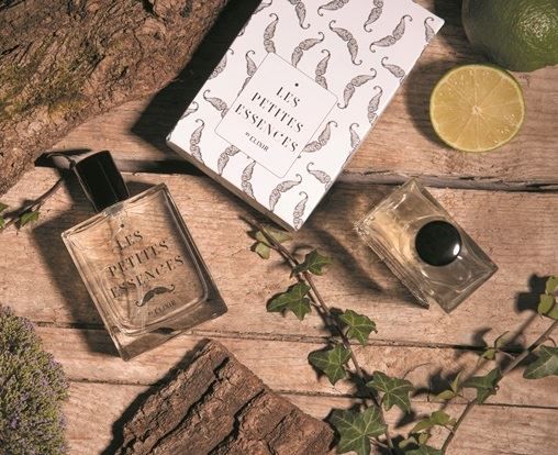 Boisé, Eau de parfum