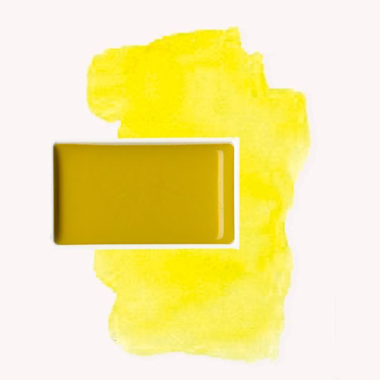 GANSAI TAMBI 'Aureolin'