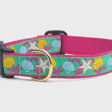 Reef Dog Collar