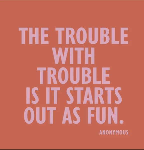 Funny Cocktail Napkins | The Trouble With Trouble - 20ct