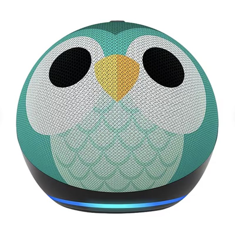 Alexa Echo Dot Kids