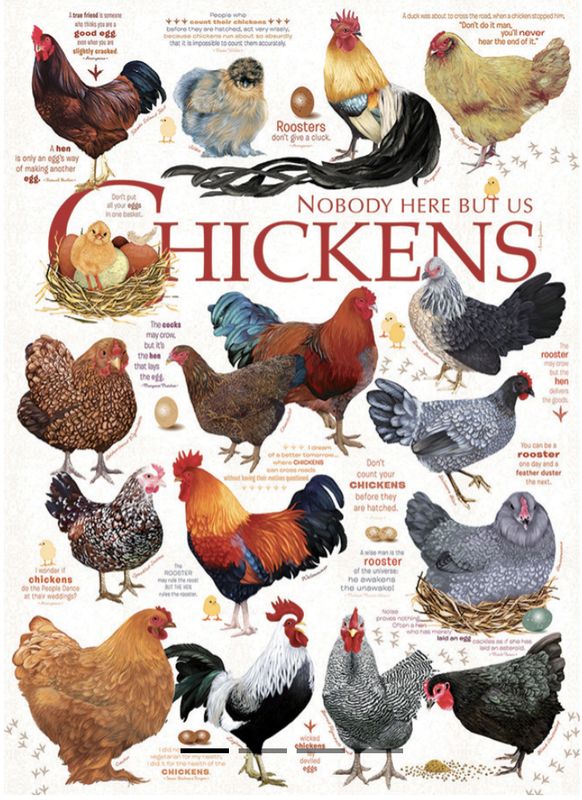 Chicken Quotes 1000pc puzzle