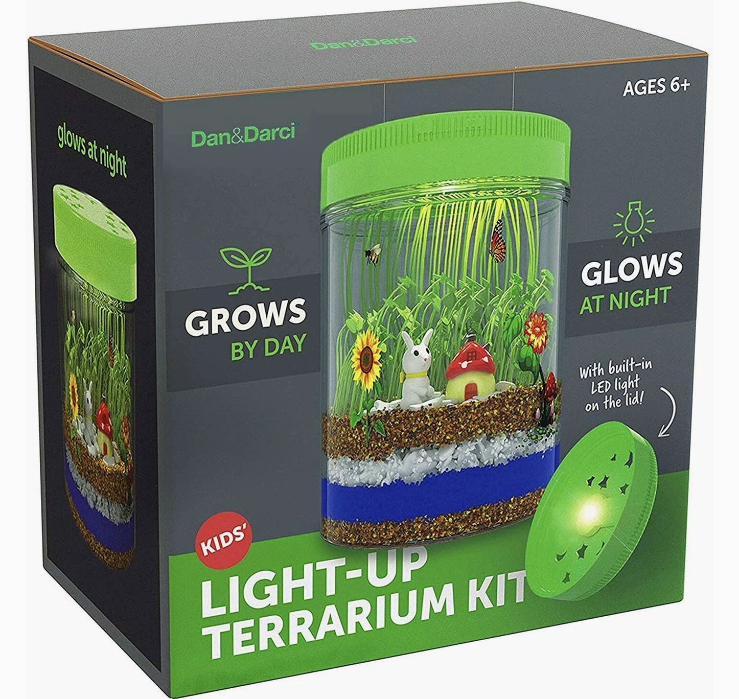 Light-Up Terrarium Kit