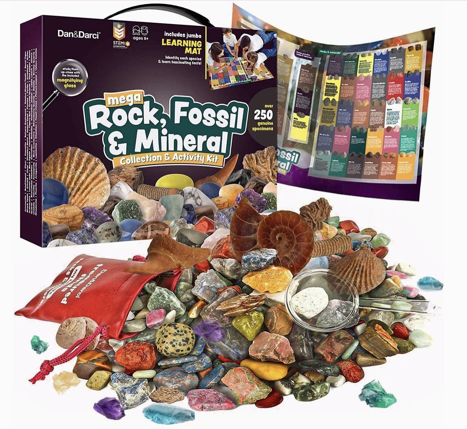 Mega Rock, Fossil &amp; Mineral Collection