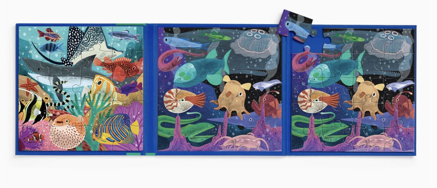 Depths of the Seas Magnetic Puzzle