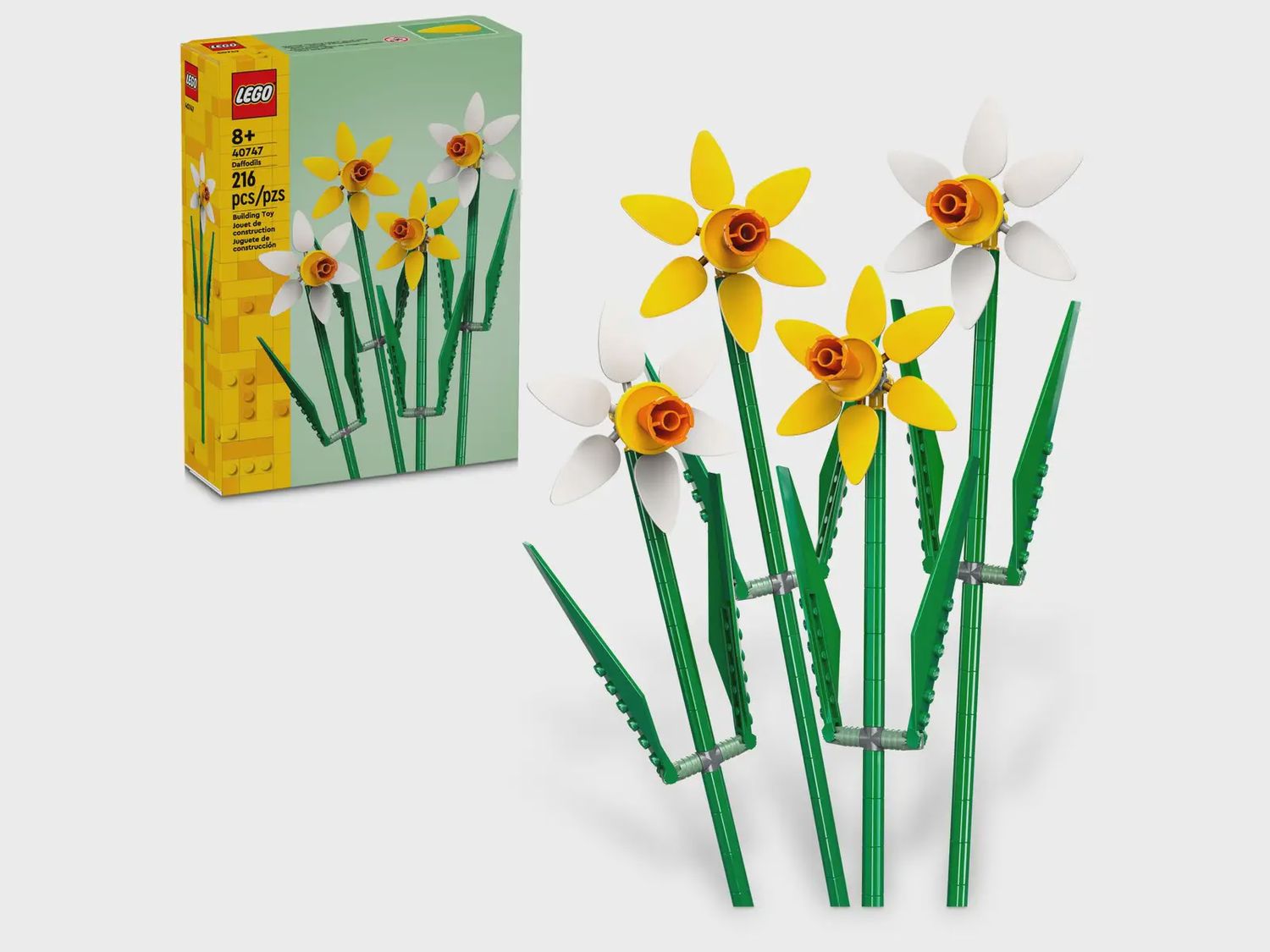 Daffodils