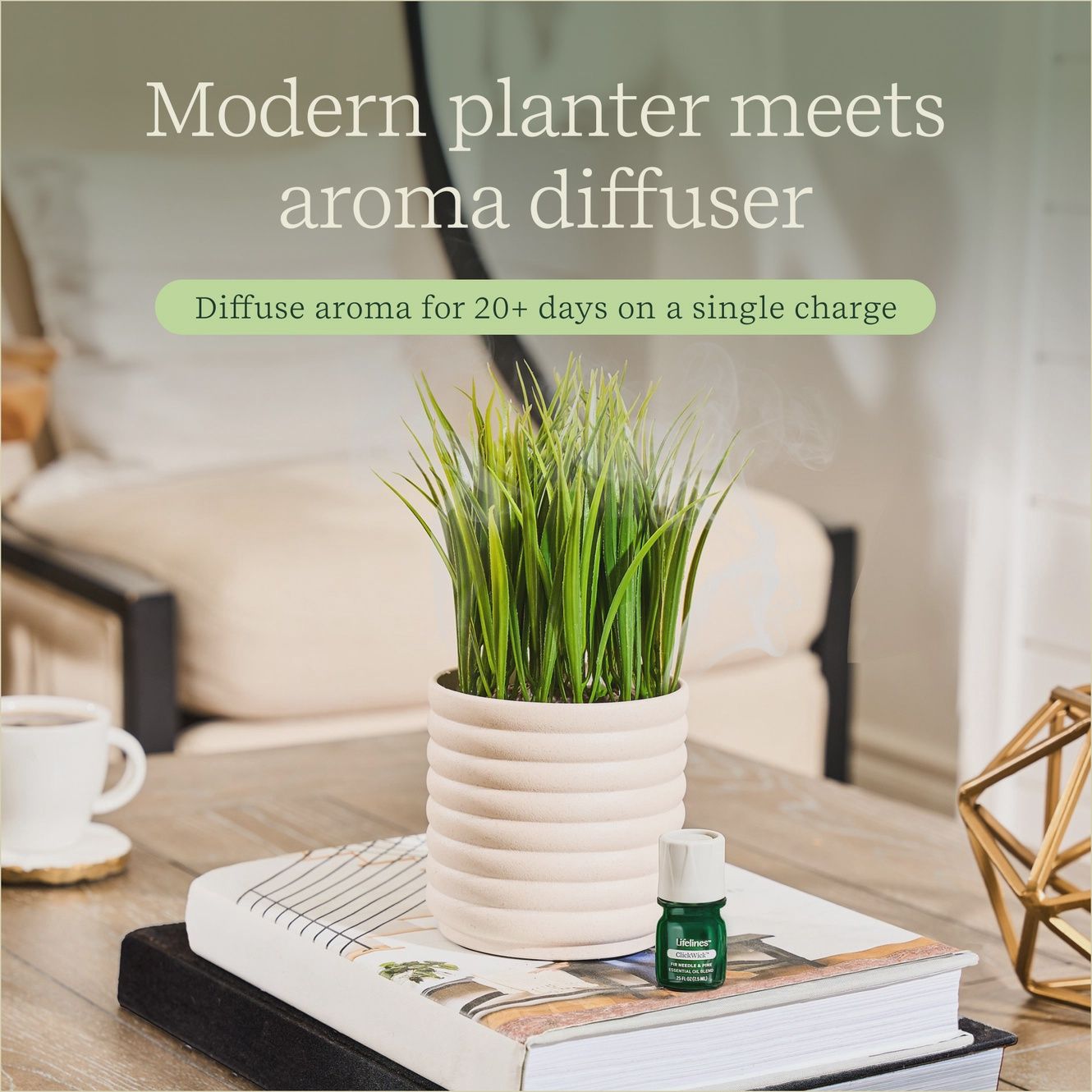 Plant Diffuser -  Grass Plant - Bubble White