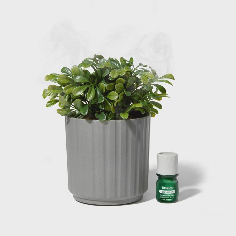 Plant Diffuser - Boxwood Plant - Ribbed Gray