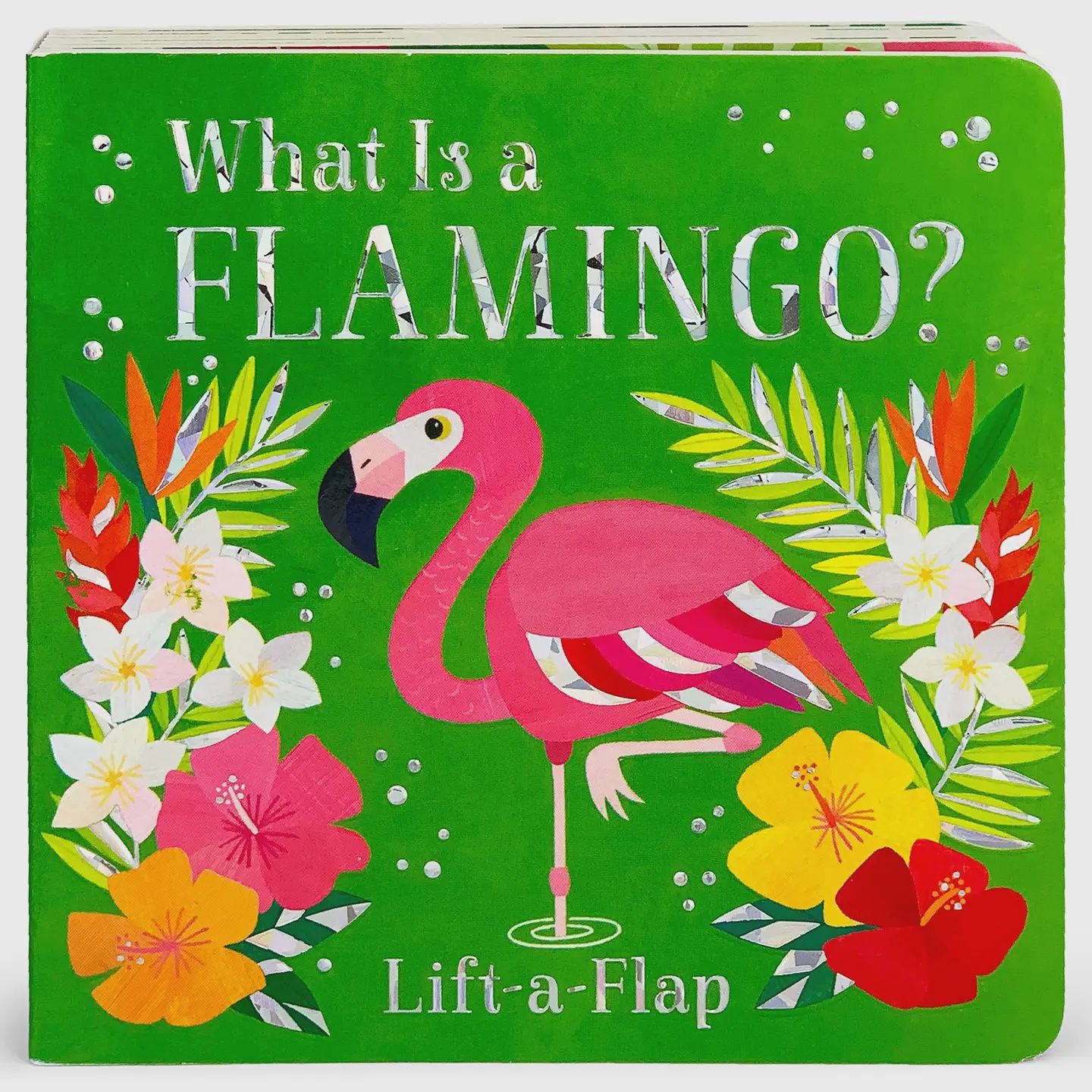 What Is A Flamingo? Bird Lift a Flap Board Book