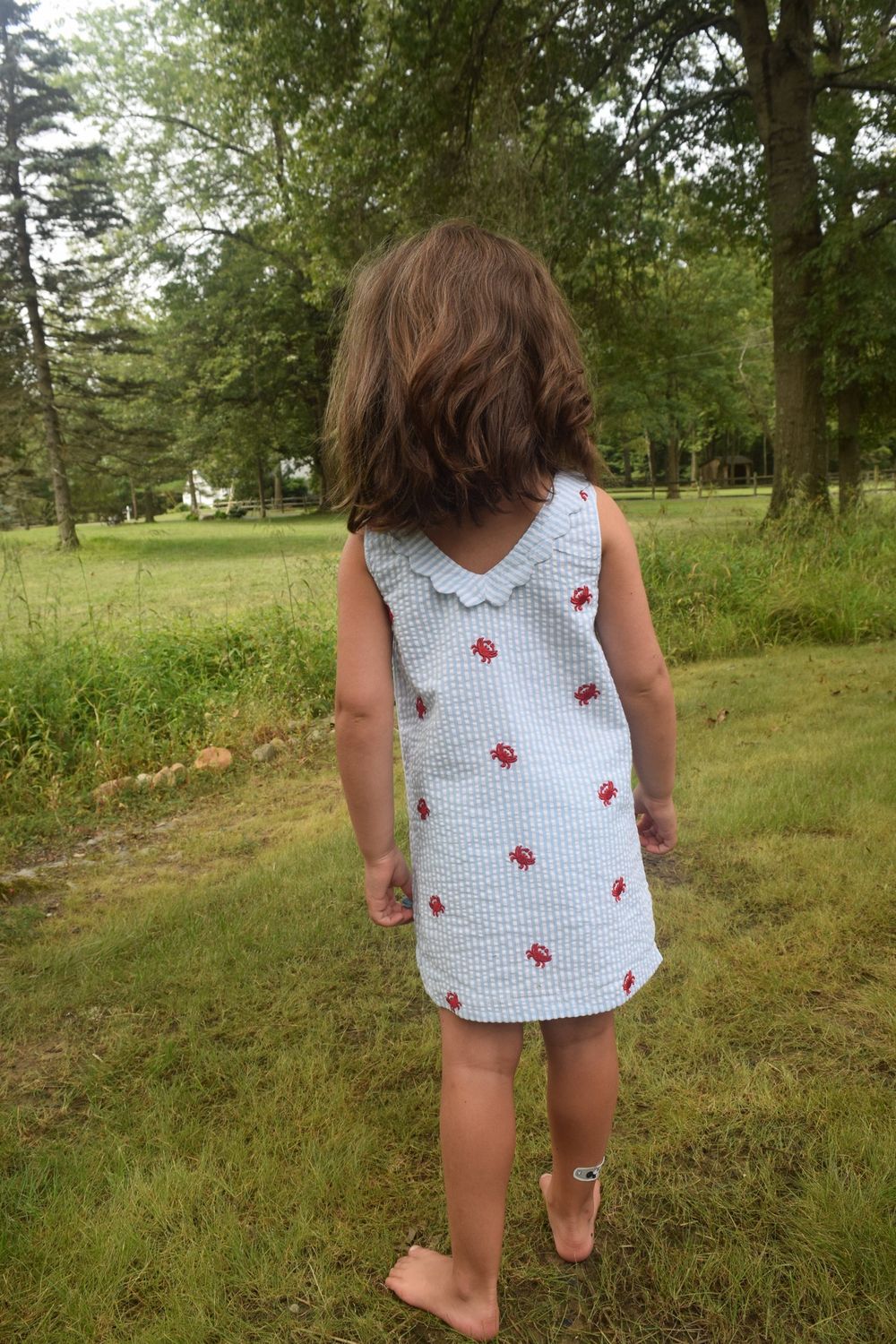 Crab Shift Dress