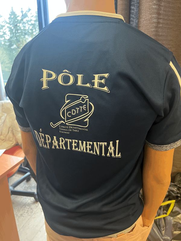 Maillot Pôle Départemental DONIC Bleu Rayé