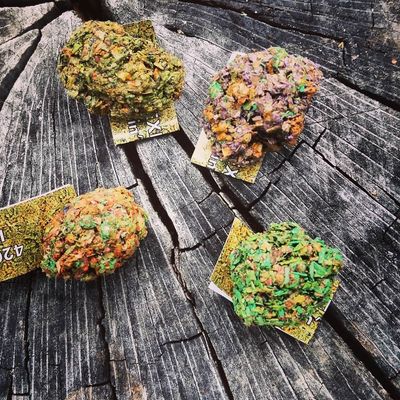 420 Expressions Nugg Pin