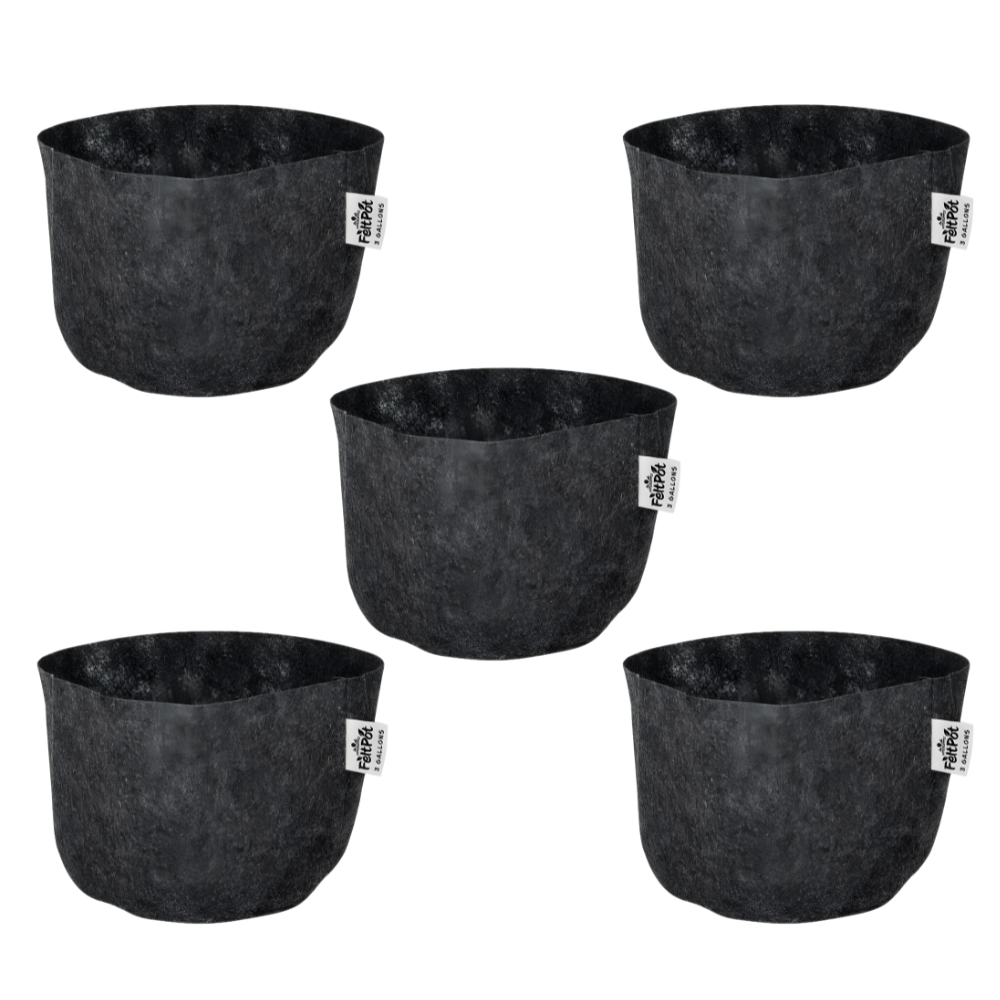 Felt Pot 3 Gallon | 5pk