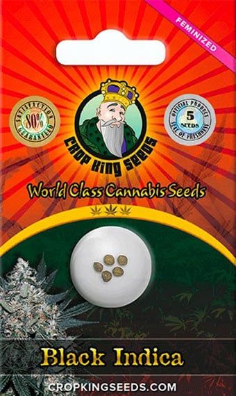 Crop King Seeds Black Indica | Indica | 5pk ♀