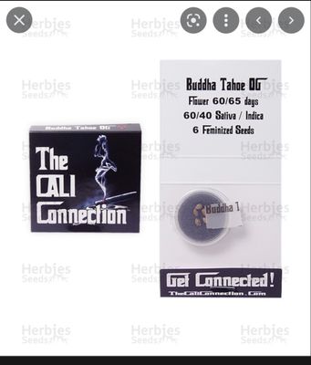 The Cali Connection Seeds Buddha Tahoe Og | 5pk ♀