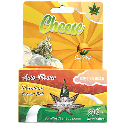 Sun West Seeds Cheese | 5pk Auto-Flower ♀