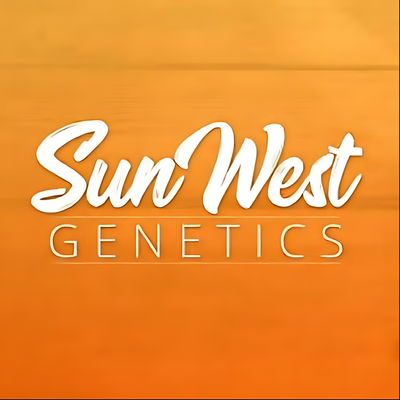 Sun West Seeds Power Plant | 5pk ♀