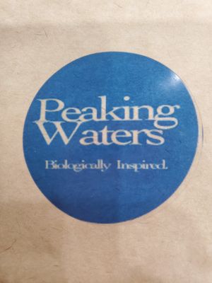 Peaking Waters Seeds Harley Wild | Hybrid | 5pk Regular