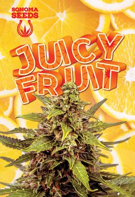 Sonoma Seeds Juicy Fruit | 5pk ♀