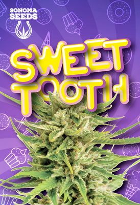 Sonoma Seeds Sweet Tooth | 5pk ♀