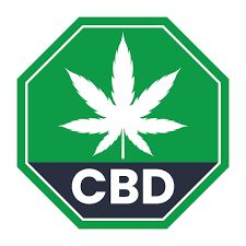 CBD Seeds