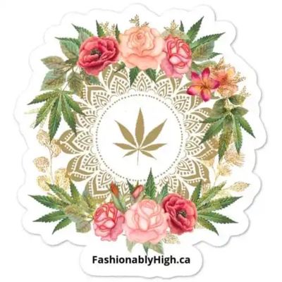 Fashionably High