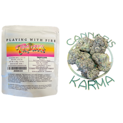 Jungle Boys Flower Tropicana | Sativa | 3.5g