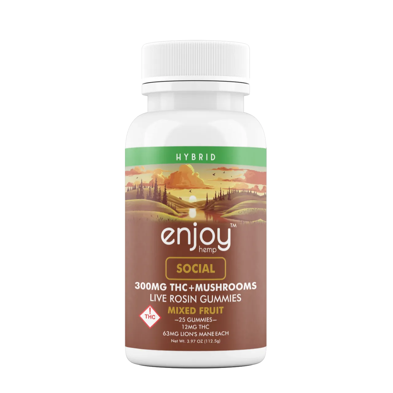 Enjoy Social 300mg THC + Lions Main Mushrooms 63mg | Hybrid