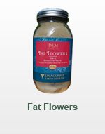 Dragonfly Earth Medicine Natural Mistik