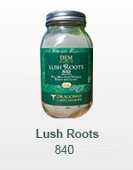 Dragonfly Earth Medicine Lush Roots
