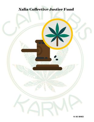 Nalia Collective Legal Defense Fund