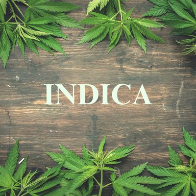 Indica