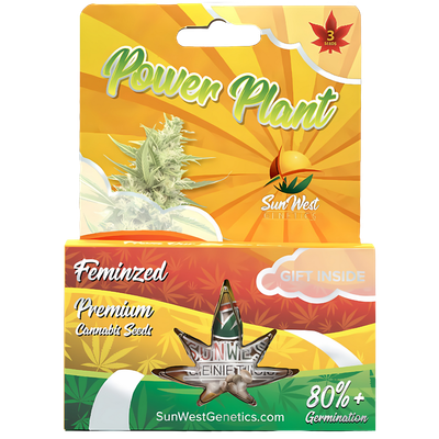 Sun West Seeds Power Plant | 5pk ♀