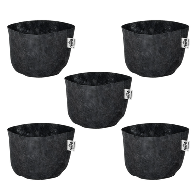 Felt Pot 3 Gallon | 5pk