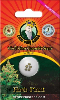 Crop King Seeds Hash Plant | Indica Hybrid | 5pk ♀
