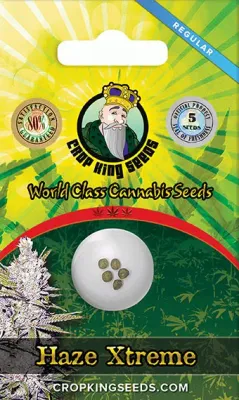 Crop King Seeds Haze Xtreme | Sativa Hybrid | 5pk Regular