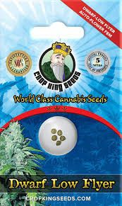 Crop King Seeds Dwarf Low Flyer