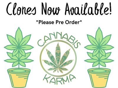 Clones To Grow Your Own !