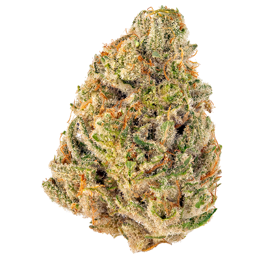 Standard Flower Durban Clementine | Sativa Hybrid| 3.5g