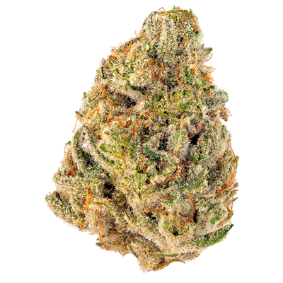 Standard Flower Durban Clementine | Sativa Hybrid| 3.5g