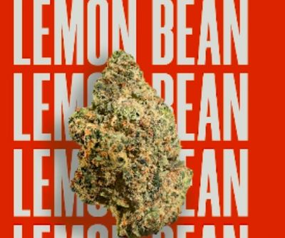 Lemon Bean | Sativa |Standard 3.5g