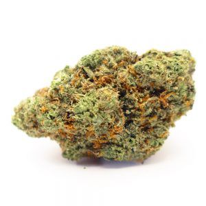 Sour Animal Cookies| Standard Flowers | Indica| 3.5g