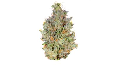 OG Kush | Standard Flower | Hybrid | 3.5g