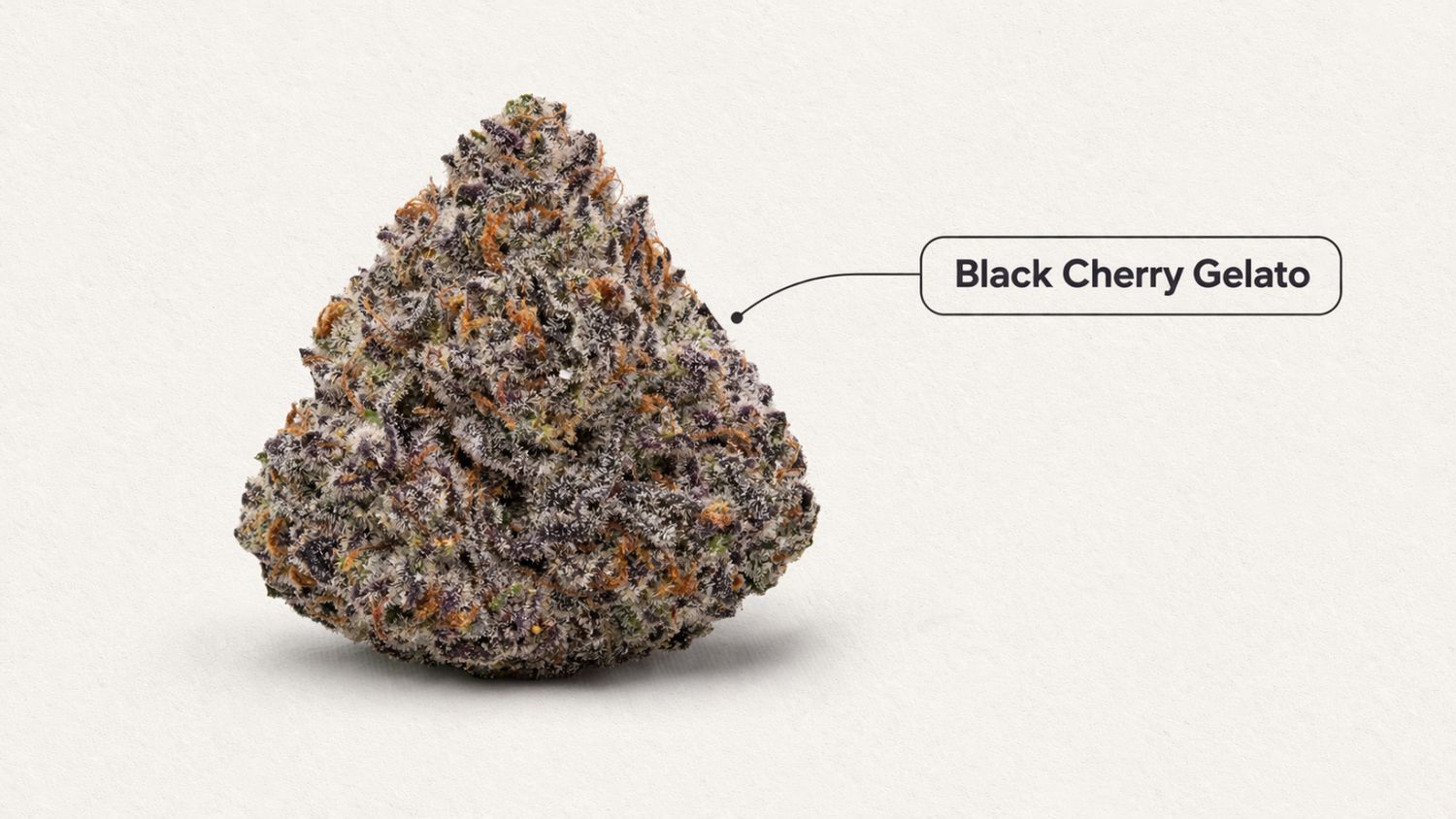 Pre Roll| Black Cherry Gelato| Hybrid 1.03