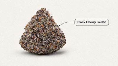 Pre Roll| Black Cherry Gelato| Hybrid 1.03