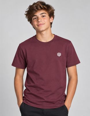 CAMISETA JUVENIL BASIC LIGHT LOGO OFICIAL - VINHO
