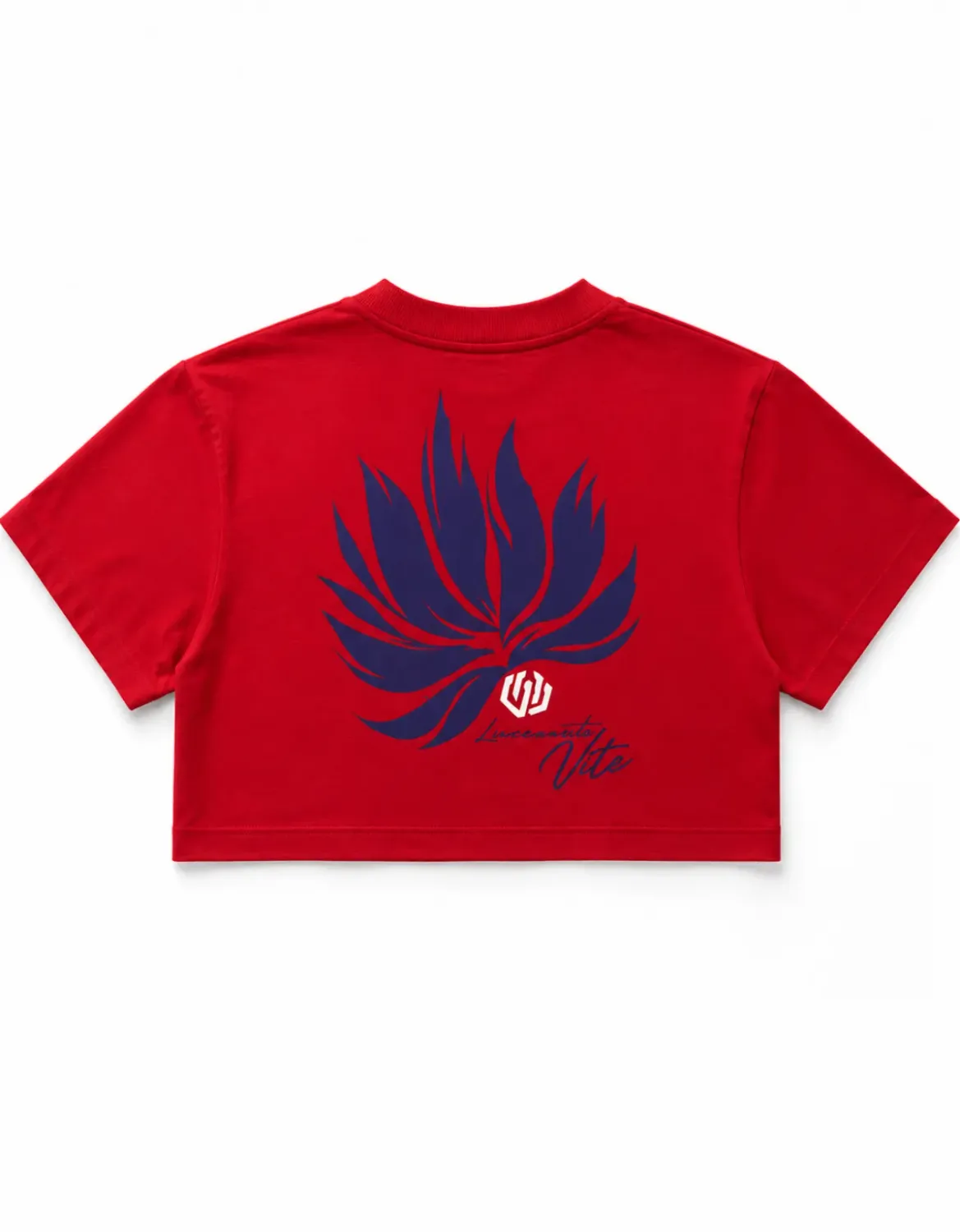 CROPPED OVERSIZED BASIC LIGHT LEAF JR - SUCRE