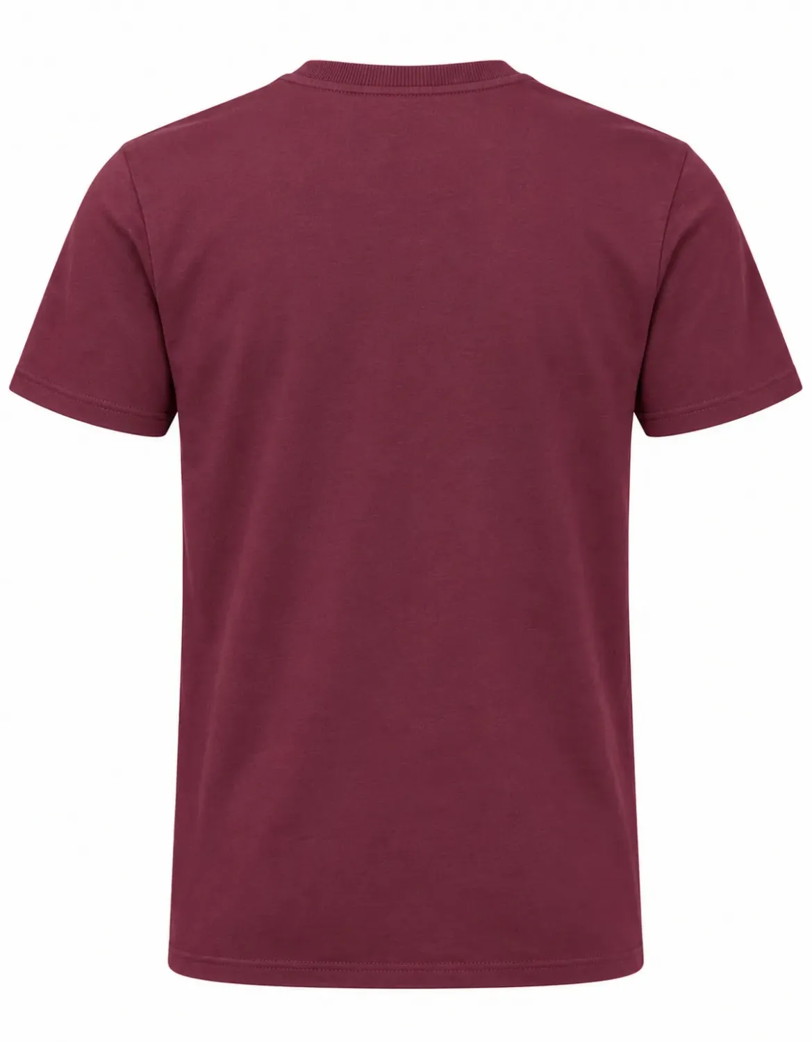CAMISETA BASIC LIGHT JR LOGO OFICIAL- FLORESTA