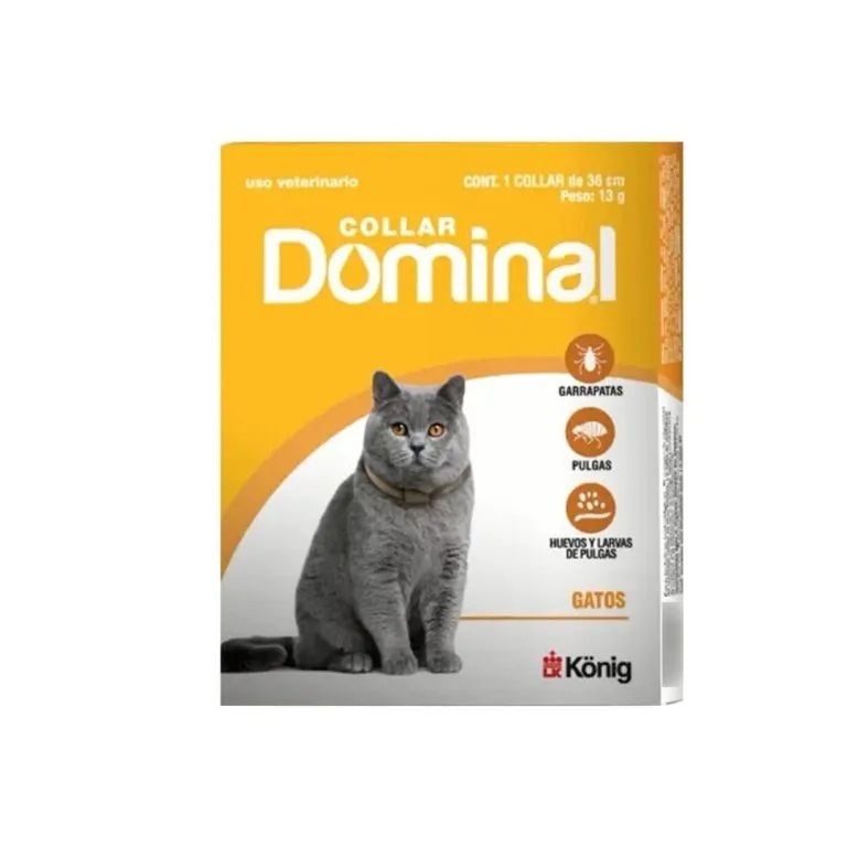 COLLAR DOMINAL GATO
